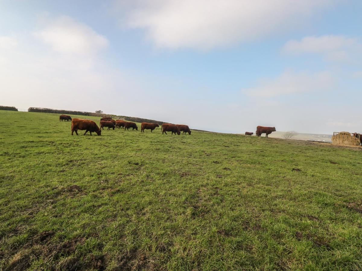 بوسكاسِل Home Farm Cottage المظهر الخارجي الصورة